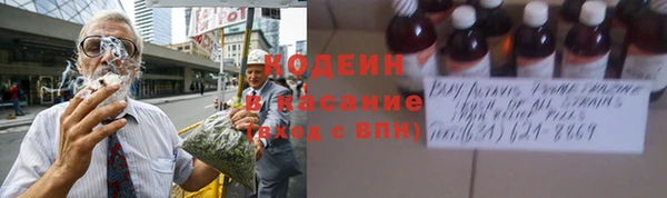 сатива Сафоново