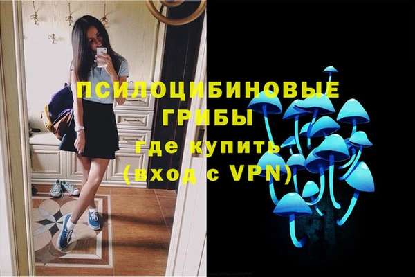 сатива Сафоново