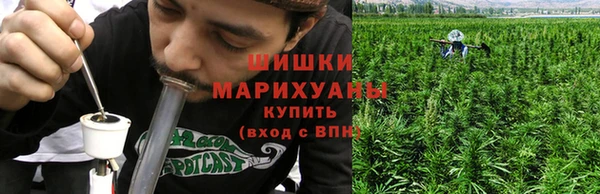 ПСИЛОЦИБИНОВЫЕ ГРИБЫ Саяногорск